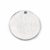 Tarnish Resistant 304 Stainless Steel Pendants STAS-F271-02B-P-3