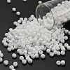 TOHO 6/0 Round Beads SEED-TR06-0041F-1