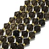 Natural Smoky Quartz Beads Strands G-I376-B26-01-1