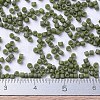 MIYUKI Delica Beads X-SEED-J020-DB0391-4