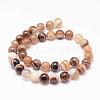 Natural Striped Agate/Banded Agate Bead Strands G-K155-A-10mm-14-2
