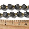 Natural Larvikite Beads Strands G-K387-A02-02-5