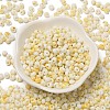 Baking Paint Glass Seed Beads X1-SEED-F006-01A-01-2