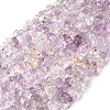 Natural Ametrine Beads Strands G-H315-A03-02-2