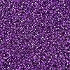 MIYUKI Delica Beads X-SEED-J020-DB0431-3