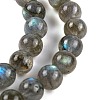 Grade AA Natural Gemstone Labradorite Round Beads Strands G-E251-33-6mm-01-6