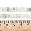Natural Tianshan Cui Quartzite Beads Strands G-I394-A05-5