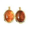Brass Resin Pendants KK-A296-53E-G-1