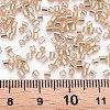 Glass Bugle Beads SEED-S032-08A-39A-4