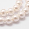 Shell Pearl Bead Strands BSHE-L026-03-6mm-5