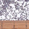 MIYUKI Delica Beads X-SEED-J020-DB1067-4