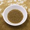 MIYUKI Delica Beads X-SEED-J020-DB0118-2