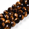 Natural Tiger Eye Beads Strands G-S345-10mm-22-1