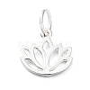 925 Sterling Silver Charms STER-M119-10S-1