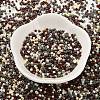 Baking Paint Glass Seed Beads X-SEED-S042-05B-55-2