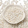 Baking Paint Glass Seed Beads SEED-F006-01A-15-2