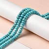 Natural Howlite Beads Strands G-C025-10A-2