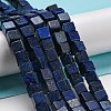 Natural Lapis Lazuli Beads Strands G-C084-E05-01-2