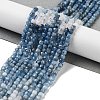 Natural Aquamarine Beads Strands G-B088-E10-04-2