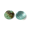 Spray Painted Natural Akoya Shell Connector Charms BSHE-S304-17F-2