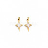 Ion Plating(IP) 304 Stainless Steel Charms STAS-N097-189-1
