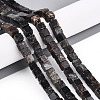 Natural Biotite Beads Strands G-T140-39A-1