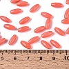 Opaque Colours Glass Seed Beads SEED-T007-16C-4