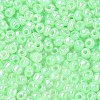 DIY Craft Beads 6/0 Ceylon Round Glass Seed Beads X-SEED-A011-4mm-144-2
