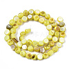 Natural Freshwater Shell Beads Strands SHEL-S276-110A-09-2