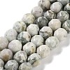 Natural Peace Jade Beads Strands G-NH0021-A08-02-1