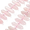 Natural Rose Quartz Double Terminated Point Beads Strands G-H069-B17-01-1