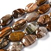 Natural Petrified Wood Beads Strands G-G010-04-1