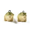 Opaque Resin Pendants RESI-G129-02-1