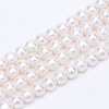 Natural Cultured Freshwater Pearl Beads Strands PEAR-R063-09-1