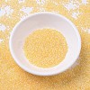 MIYUKI Delica Beads SEED-J020-DB0233-2