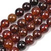 Natural Garnet Beads Strands G-H300-A01-02-2