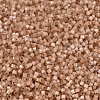 MIYUKI Delica Beads SEED-J020-DB1803-3