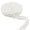 Polyester Embroidery Lace Trim OCOR-WH0060-91B-1