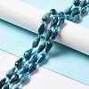 Natural Apatite Beads Strands G-B028-A09-2