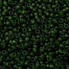 MIYUKI Round Rocailles Beads SEED-X0055-RR0158F-3