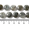 Natural Labradorite Beads Strands G-NH0004-001-5