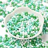 6/0 Opaque Baking Paint Glass Seed Beads SEED-M012-02A-27-2