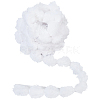 5M Polyester Embroidery Sewing Trimming AJEW-GF0012-30D-1