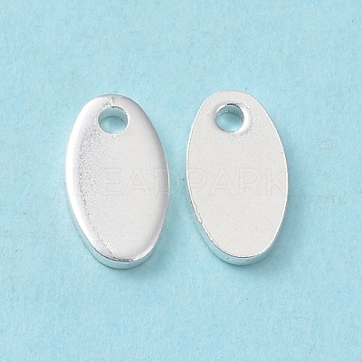 304 Stainless Steel Charms STAS-L234-065D-S-1