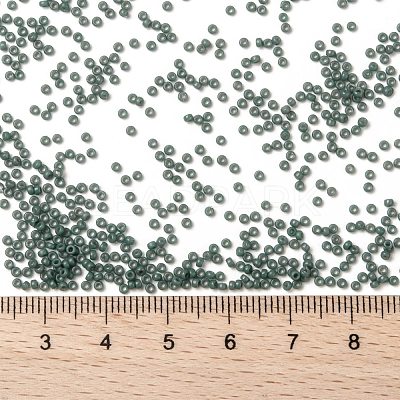 MIYUKI Round Rocailles Beads SEED-JP0010-RR4481-1