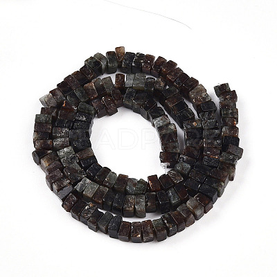 Natural Biotite Beads Strands G-T140-54-1
