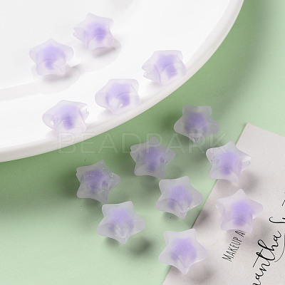 Transparent Acrylic Beads TACR-S152-02C-SS2114-1
