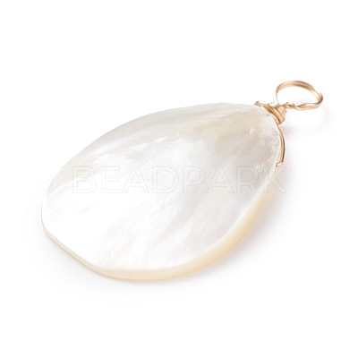 Natural Trochid Shell/Trochus Shell Pendants PALLOY-JF01393-1