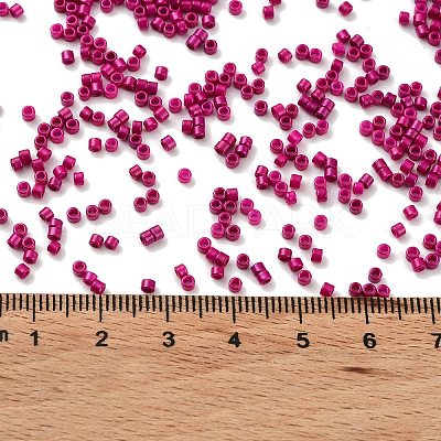 Baking Paint Glass Seed Beads X-SEED-S042-05B-70-1