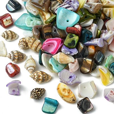 198G 11 Styles Natural Mixed Shell Beads Sets BSHE-FS0001-05-1